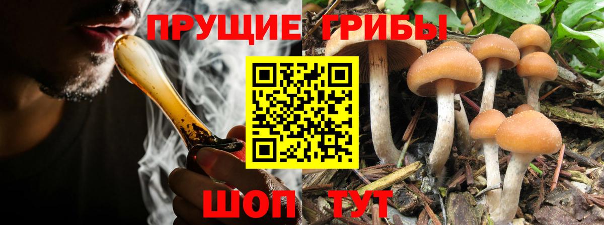 Псилоцибиновые грибы мухоморы  Псилоцибиновые грибы GOLDEN TEACHER  Ноябрьск  Вход с VPN 
